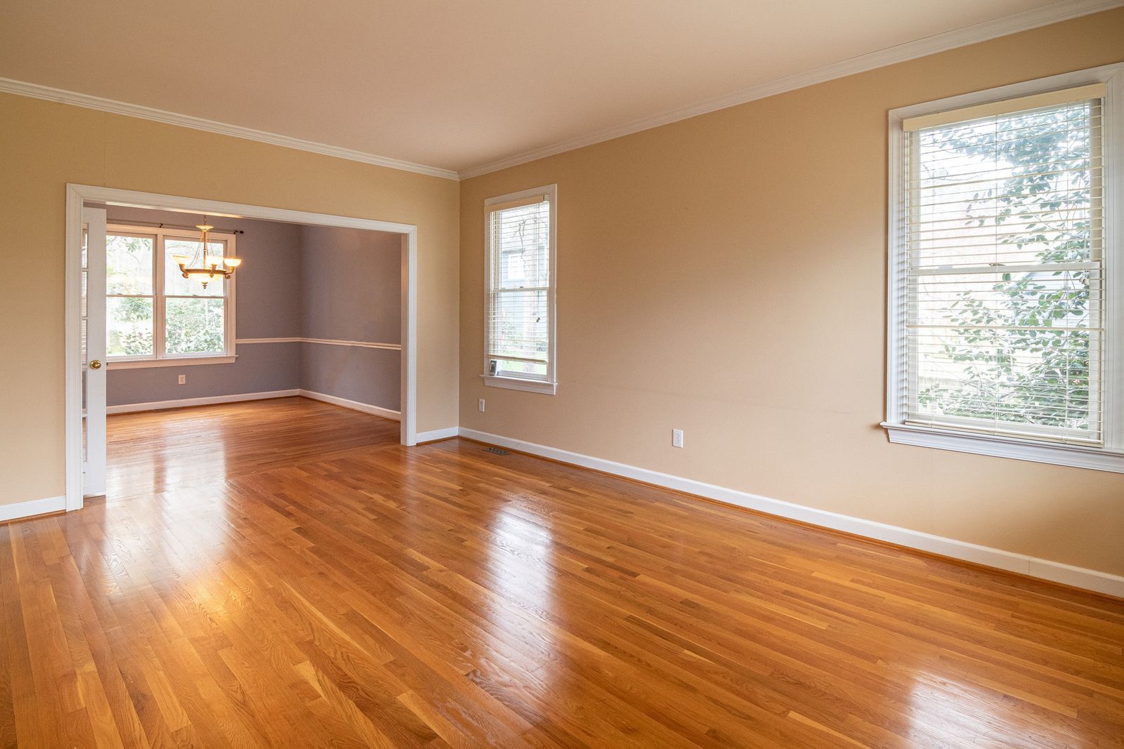 Bright living room with newly installed wood flooring and large windows